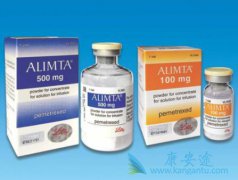 ��������̩(Alimta)����������Ӧ��Ԥ�������Ʒ���