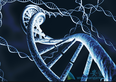 �෢�Թ�������ʳ