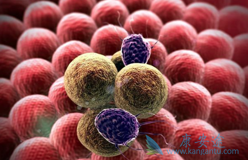 �෢�Թ�����֢״