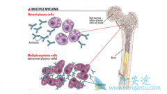 ������������������˹������ܻ���