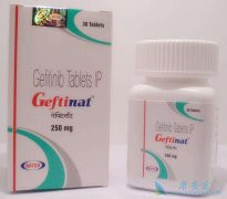 ӡ������ɳ���������ַΰ��Ļ�����