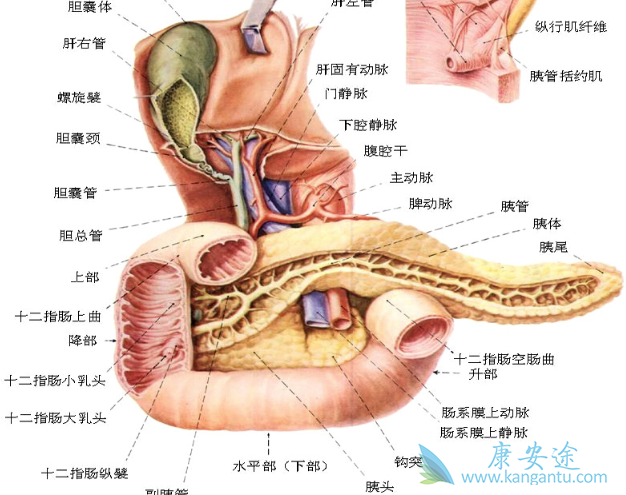 ���ٰ�����