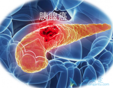 ���ٰ����ƺ������ؼ��������ʱ����Ӱ��