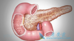 ���ٰ����ƺ�����Щ�����öԻ������˺�