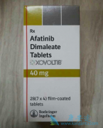 ��������(AFATINIB)�������ӷΰ�����һ���������