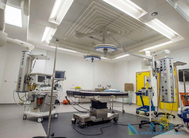 ҽ������