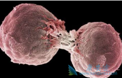 �����ܰͰ�ԭ������Щ���ܰͰ����κ���