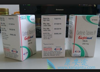 易瑞沙说明书 易瑞沙说明书