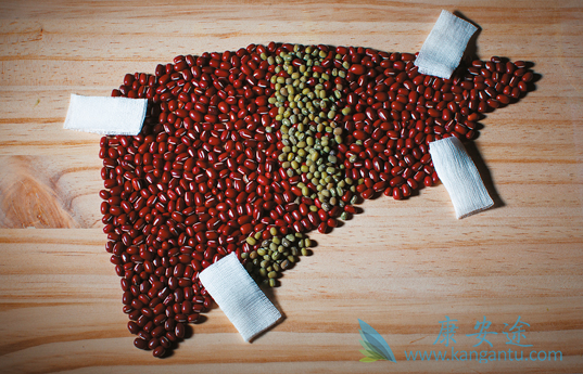 �ΰ����ڵ�����