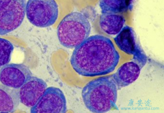 ���ǶȰ�/�����Ƕ෢������ά��������ѡҩ��