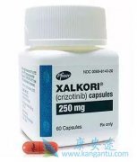 �����𣨿������ᣩ���Ʒ�Сϸ���ΰ�Ч������