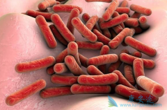 ���ΰ�ҩ��������/�����ʹ�ҹ��ΰ�����ǰ���õ���һ������