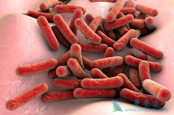 瑞格菲尼 瑞格菲尼