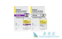 ����͡/�����鵥���������ٰ������������඾�Ծ����ж�ǿ��