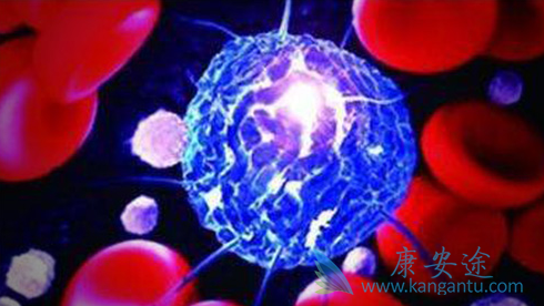 骨髓纤维化 骨髓纤维化