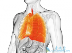 ����ά����֢״����Щ�����ڷ���ά����ô���ƣ�