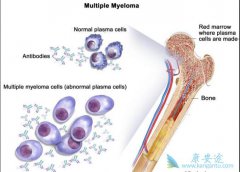 �෢�Թ��������ڻ��߻��ܻ��ã���������ƣ�