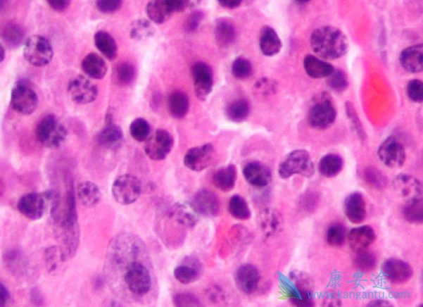 �������ܻ���