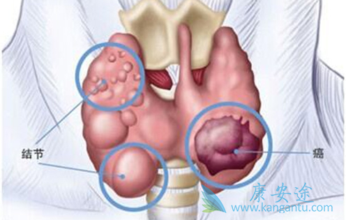 ��״�ٰ������ܻ���