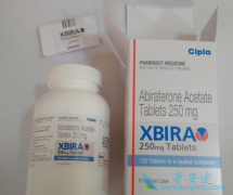 ӡ�Ȱ���������XBIRA������Ч����Σ���ι���ӡ�Ȱ���������