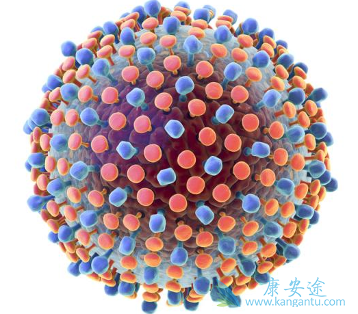 丙型肝炎病毒 丙型肝炎病毒