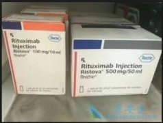 �����ܰ�����ͨ������������(Rituximab)���Ƶõ�����