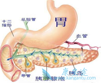 ���ٰ�������