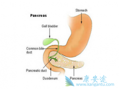 ���ٰ������Ʒ������Ҫ����ѡ��