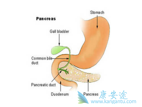 胰腺癌的治疗 胰腺癌的治疗
