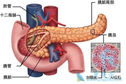 胰腺癌症状 胰腺癌症状