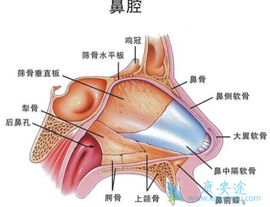 鼻咽癌症状 鼻咽癌症状