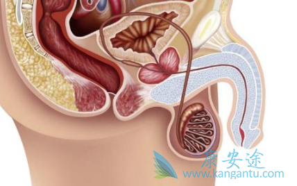 ǰ���ٰ��ܻ���