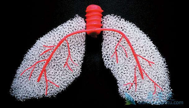 ����ҽ��