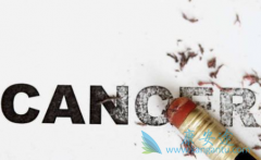 ��֢����֢״�����Ե�ԭ����������