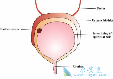 ��Ī¬����