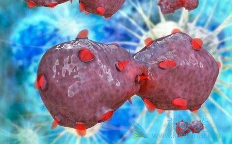 雷莫卢单抗 雷莫卢单抗