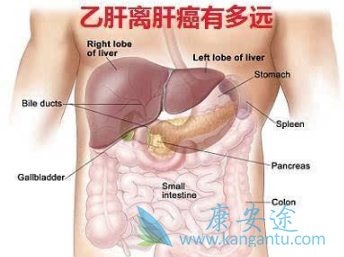 乙肝表面抗体阳性 乙肝表面抗体阳性