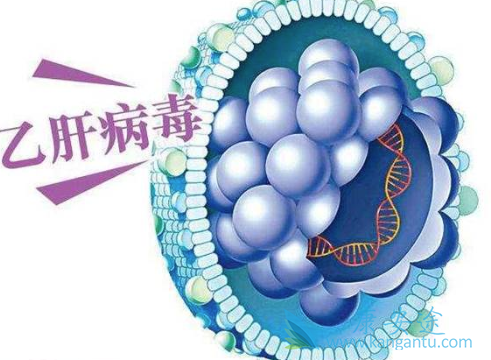 乙肝表面抗体阳性是什么 乙肝表面抗体阳性是什么