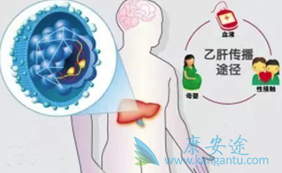 乙肝表面抗体阴性 乙肝表面抗体阴性