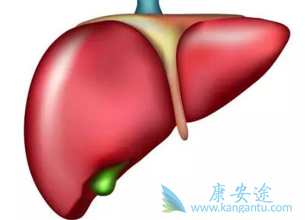 乙肝病毒携带者传染吗 乙肝病毒携带者传染吗