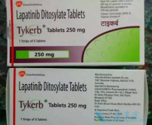 ��������(Tykerb)���������ܷ����ʳ�ܰ����߻�����