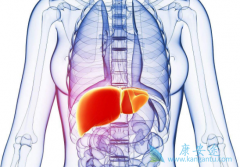 ��������(SORAFENIB)���ַ������ĸ����ʺ����ڸΰ�����