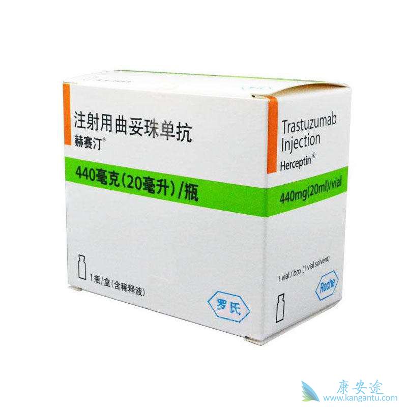 ����͡�����鵥��