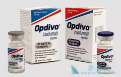 PD-1���Ƽ���ķ������Ϊ��������θ��ҩ��Ч����Σ�