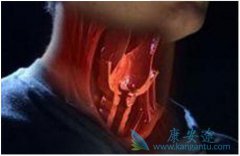 �����ʺ���֢״��ʲô��������֢״�кβ�ͬ��