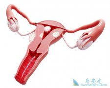 �ӹ���֢״����Щ����ʲô����������ǰԤ����