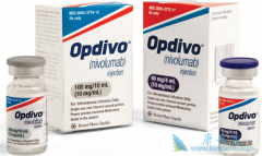 PD-1ҩ��Keytruda��Opdivo���Ʋ�ͬ�İ����кβ���