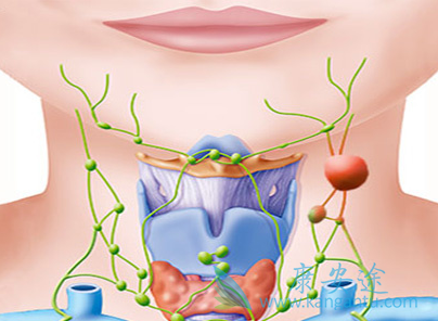 来那度胺 来那度胺