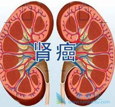 �ַ�����