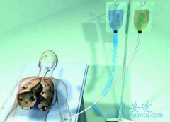 �ΰ������ܻ��ȡ������Щ�ؼ���